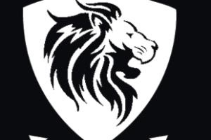 Portfolio for development of hybrid applications